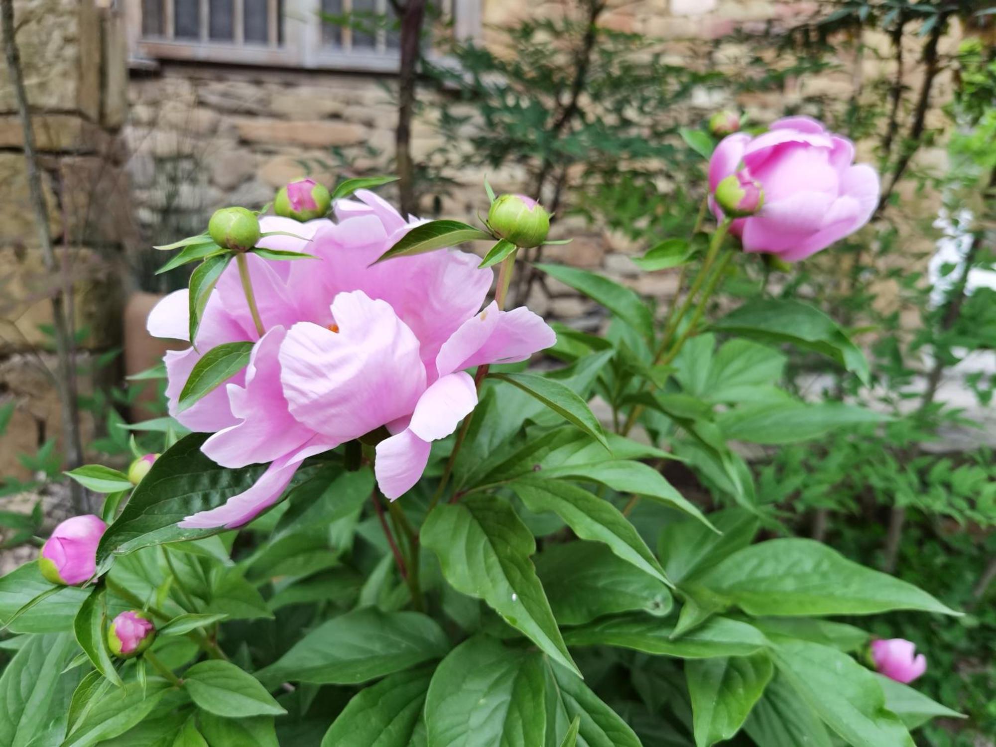 Dayong Antique Feature Resort Zhangjiajie Eksteriør bilde
