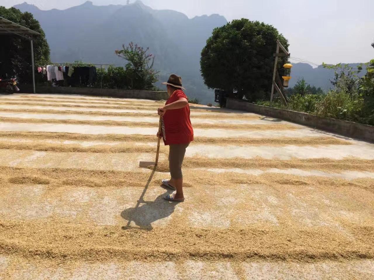 Dayong Antique Feature Resort Zhangjiajie Eksteriør bilde